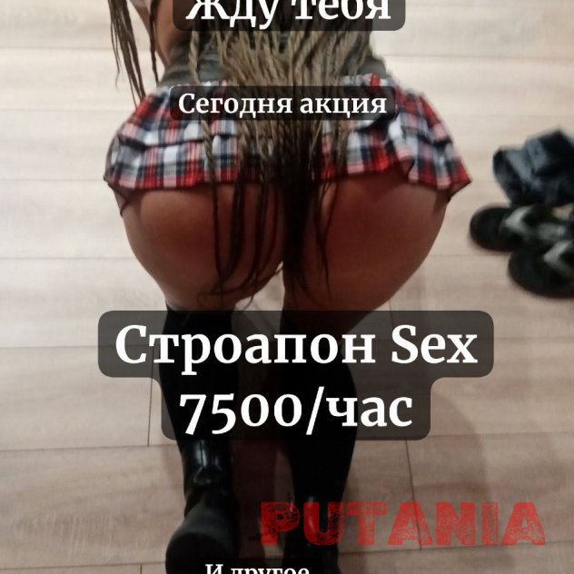 Prostitute&nbsp;Valeriya&nbsp;&ndash;&nbsp;31&nbsp;y.o.,&nbsp;Arkhangelsk,&nbsp;Lomonosovsky,&nbsp;I'm still busy